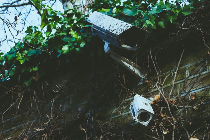 A CCTV camera in a garden.