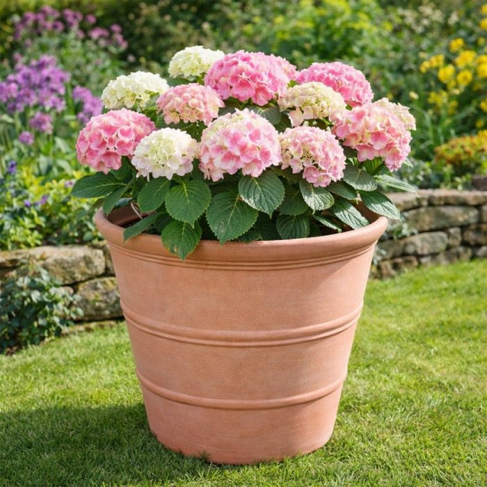 Jack Stonehouse Rustic Terracotta Effect Round Planter with Pink Flowers