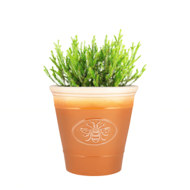 30cm Round Bee Planter - Honeycomb (14lt)