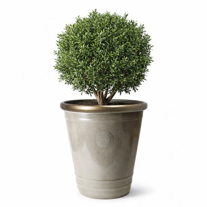 53cm Grey Sandstone Effect Fossil Planter (75L)