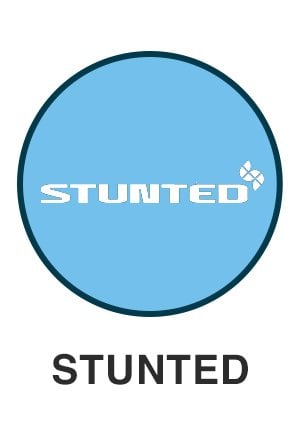 Stunted logo on light blue circle for Stunted themed toys