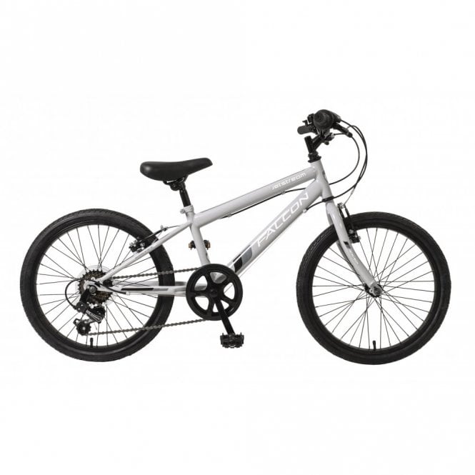  Jetstream 20 Inch Kids Bike