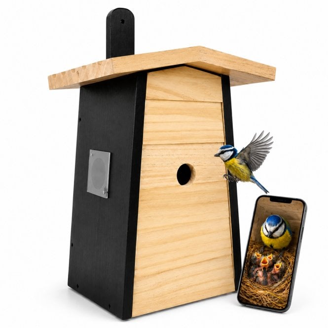 Smart WiFi Bird Box with Built-In 1080p Camera & Solar Power HD Realtime Video | Share & Record Nesting Live | AI Species Auto-Detect & Night Vision
