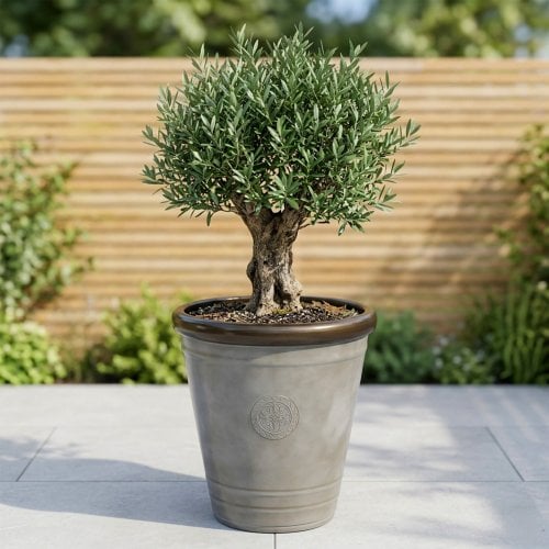 Planters