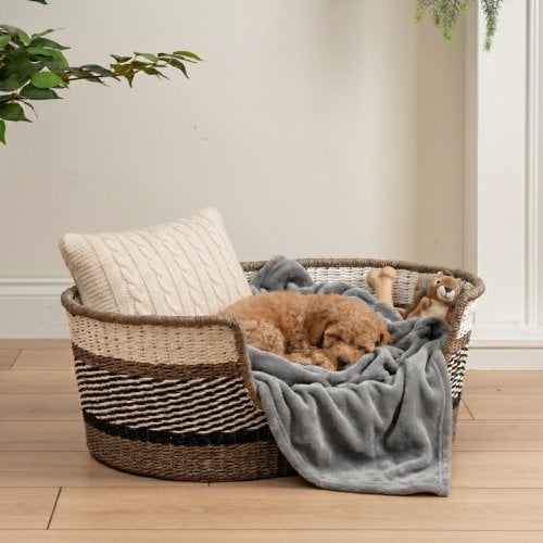 New Arrival - Pet Beds