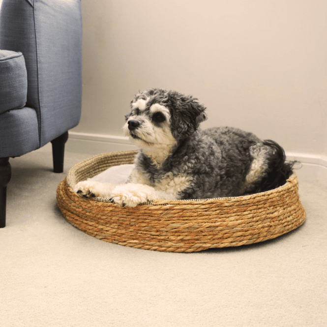 60cm Natural Woven Pet Bed